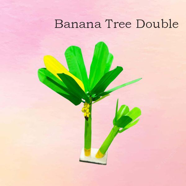 Double Banana Tree
