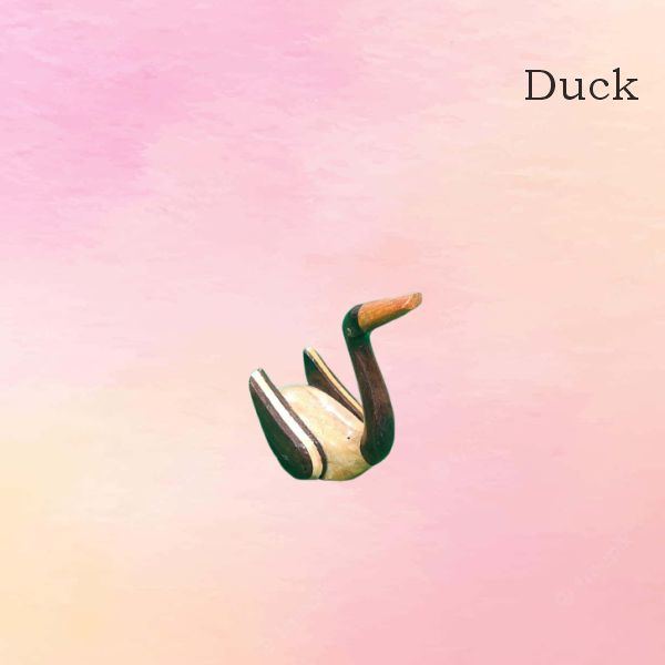 Ducks Special