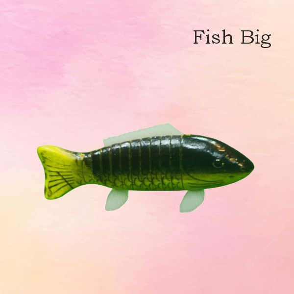 Fish Big