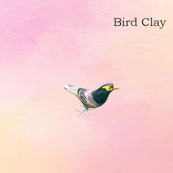 Birds Clay Single