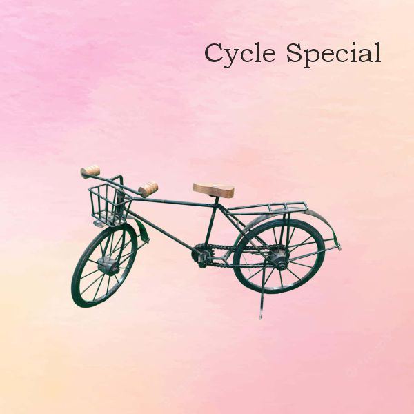 Cycle kids Game