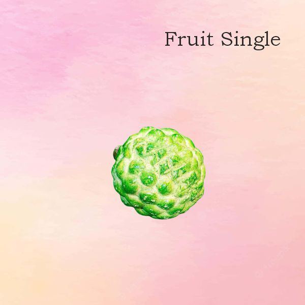 Fruits Single Clay