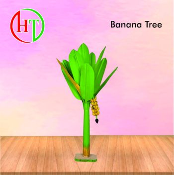 Banana Tree
