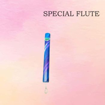 Special Flute
