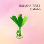 Banana Tree small