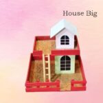 House Big