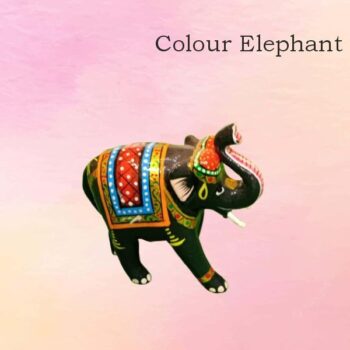 Elephant colour