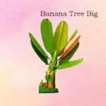 Banana Tree Big