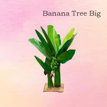 Banana Tree Big