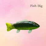 Fish Big
