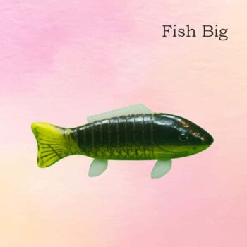 Fish Big